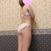 ヒメ日記 2025/03/28 11:09 投稿 ゆら 桜sakura(名古屋)