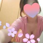 ヒメ日記 2026/03/15 13:05 投稿 ねね 桜sakura(名古屋)