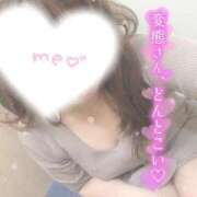 ヒメ日記 2025/06/29 16:28 投稿 おりは 桜sakura(名古屋)