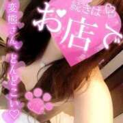 ヒメ日記 2025/08/17 14:38 投稿 おりは 桜sakura(名古屋)