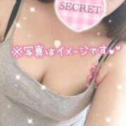 ヒメ日記 2026/02/07 17:46 投稿 おりは 桜sakura(名古屋)