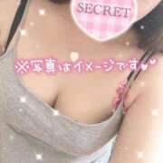 ヒメ日記 2026/05/14 14:15 投稿 おりは 桜sakura(名古屋)