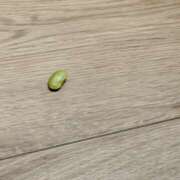 ヒメ日記 2025/01/28 09:29 投稿 海野さきこ 美魔女エステ