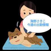 ヒメ日記 2025/03/16 09:35 投稿 海野さきこ 美魔女エステ