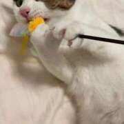 ヒメ日記 2025/03/08 17:42 投稿 【もえ】パイパン巨乳が凄い バブルリングプラス