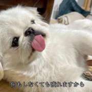 ヒメ日記 2025/03/16 23:12 投稿 【もえ】パイパン巨乳が凄い バブルリングプラス