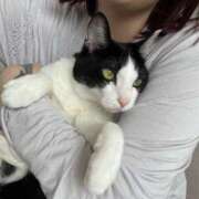 ヒメ日記 2025/03/17 18:42 投稿 【もえ】パイパン巨乳が凄い バブルリングプラス