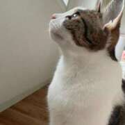 ヒメ日記 2025/04/06 17:03 投稿 【もえ】パイパン巨乳が凄い バブルリングプラス