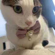 ヒメ日記 2025/04/16 05:03 投稿 【もえ】パイパン巨乳が凄い バブルリングプラス