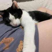 ヒメ日記 2025/04/20 21:49 投稿 【もえ】パイパン巨乳が凄い バブルリングプラス