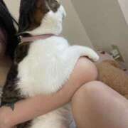 ヒメ日記 2025/05/04 21:49 投稿 【もえ】パイパン巨乳が凄い バブルリングプラス