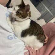 ヒメ日記 2025/05/12 09:33 投稿 【もえ】パイパン巨乳が凄い バブルリングプラス