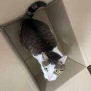 ヒメ日記 2025/06/07 03:33 投稿 【もえ】パイパン巨乳が凄い バブルリングプラス