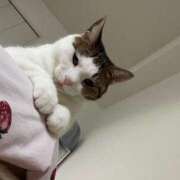 ヒメ日記 2025/06/14 09:03 投稿 【もえ】パイパン巨乳が凄い バブルリングプラス