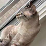 ヒメ日記 2025/07/25 17:24 投稿 【もえ】パイパン巨乳が凄い バブルリングプラス