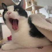 ヒメ日記 2025/08/23 21:27 投稿 【もえ】パイパン巨乳が凄い バブルリングプラス