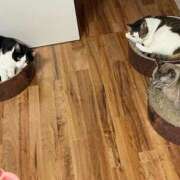 ヒメ日記 2025/09/11 22:30 投稿 【もえ】パイパン巨乳が凄い バブルリングプラス