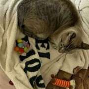 ヒメ日記 2025/09/17 05:54 投稿 【もえ】パイパン巨乳が凄い バブルリングプラス