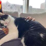 ヒメ日記 2025/09/28 05:21 投稿 【もえ】パイパン巨乳が凄い バブルリングプラス