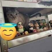 ヒメ日記 2025/09/28 23:33 投稿 【もえ】パイパン巨乳が凄い バブルリングプラス