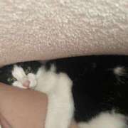 ヒメ日記 2025/10/08 23:09 投稿 【もえ】パイパン巨乳が凄い バブルリングプラス