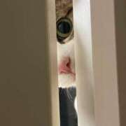 ヒメ日記 2025/10/10 20:34 投稿 【もえ】パイパン巨乳が凄い バブルリングプラス