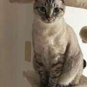 ヒメ日記 2025/10/25 06:27 投稿 【もえ】パイパン巨乳が凄い バブルリングプラス