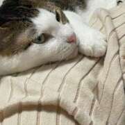 ヒメ日記 2025/10/30 05:09 投稿 【もえ】パイパン巨乳が凄い バブルリングプラス