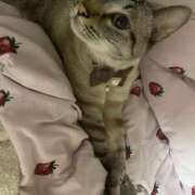 ヒメ日記 2025/11/20 01:03 投稿 【もえ】パイパン巨乳が凄い バブルリングプラス