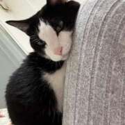 ヒメ日記 2025/12/09 06:21 投稿 【もえ】パイパン巨乳が凄い バブルリングプラス