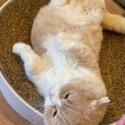 ヒメ日記 2025/01/19 13:30 投稿 ういか チューリップ土浦店