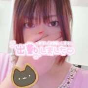 ヒメ日記 2025/02/09 06:20 投稿 ういか チューリップ土浦店