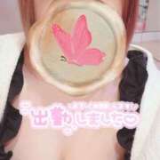 ヒメ日記 2025/03/01 12:11 投稿 ういか チューリップ土浦店