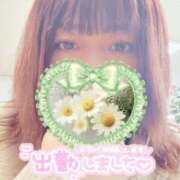 ヒメ日記 2025/03/16 12:00 投稿 ういか チューリップ土浦店