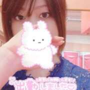 ヒメ日記 2025/04/25 15:14 投稿 ういか チューリップ土浦店