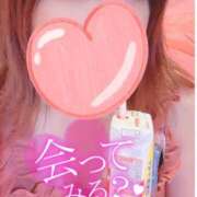 ヒメ日記 2025/05/02 06:19 投稿 ういか チューリップ土浦店