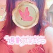 ヒメ日記 2025/05/19 20:08 投稿 ういか チューリップ土浦店