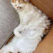 ヒメ日記 2025/05/21 14:38 投稿 ういか チューリップ土浦店