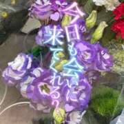 ヒメ日記 2025/05/31 12:12 投稿 ういか チューリップ土浦店