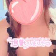 ヒメ日記 2025/05/31 20:08 投稿 ういか チューリップ土浦店