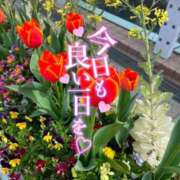 ヒメ日記 2025/06/01 06:18 投稿 ういか チューリップ土浦店