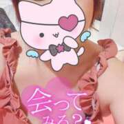 ヒメ日記 2025/06/02 06:08 投稿 ういか チューリップ土浦店