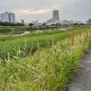 ヒメ日記 2025/06/08 05:58 投稿 ういか チューリップ土浦店