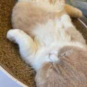 ヒメ日記 2025/06/16 11:58 投稿 ういか チューリップ土浦店