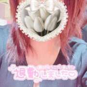 ヒメ日記 2025/06/16 20:16 投稿 ういか チューリップ土浦店