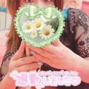 ヒメ日記 2025/06/29 15:18 投稿 ういか チューリップ土浦店