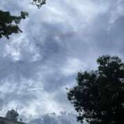 ヒメ日記 2025/07/19 14:19 投稿 ういか チューリップ土浦店