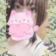 ヒメ日記 2025/11/22 08:18 投稿 ういか チューリップ土浦店