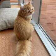 ヒメ日記 2025/11/30 12:59 投稿 ういか チューリップ土浦店