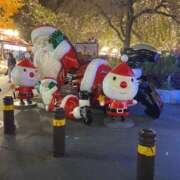 ヒメ日記 2025/12/19 17:02 投稿 ういか チューリップ土浦店